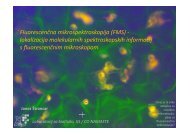 FluorescenÄna mikrospektroskopija (FMS) - lokalizacija ... - IJS