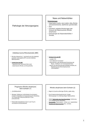 1 Pathologie der Atmungsorgane Nase und Nebenhöhlen