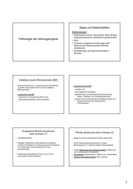 1 Pathologie der Atmungsorgane Nase und Nebenhöhlen