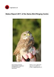 Sempach, Switzerland - The European Union for Bird Ringing