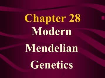 Chapter 28
