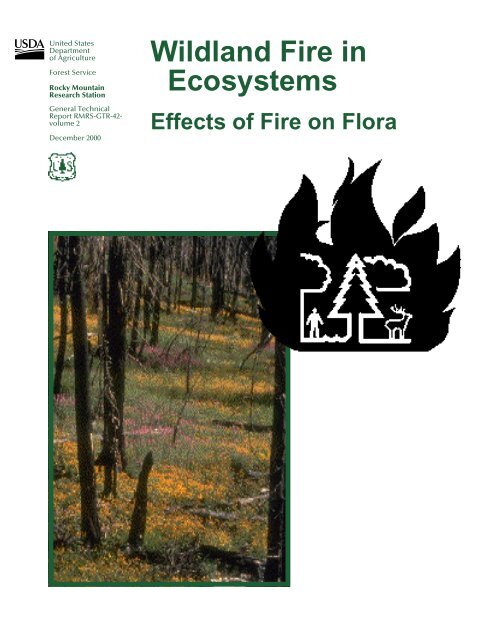 Physical and chemical properties of Coarse Woody Debris submitted to the  natural process of decomposition in a Secondary Atlantic Forest Fragment in  Brazil