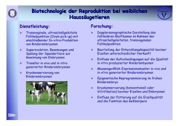 Biotechnologie der Reproduktion bei weiblichen Haussäugetieren