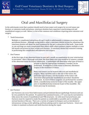 Oral and Maxillofacial Surgery - Gulf Coast Veterinary Specialists