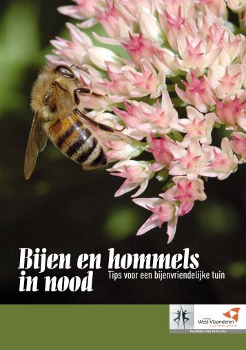 Bijen en hommels in nood - Inagro