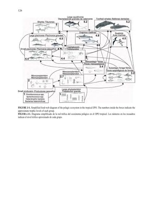 INTER-AMERICAN TROPICAL TUNA COMMISSION - ComisiÃƒÂ³n ...