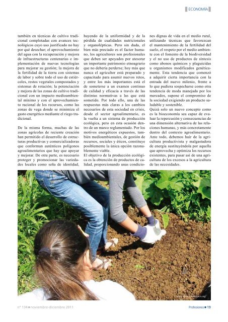 descÃ¡rgate la revista en formato pdf - Revista Profesiones