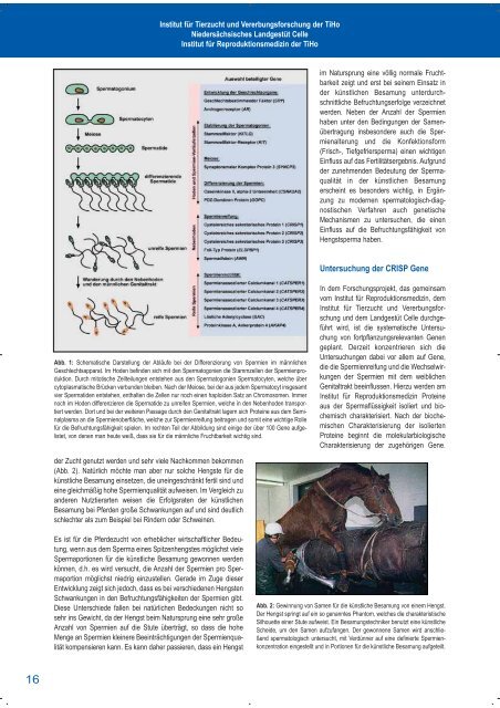 Schwerpunkt: âReproduktionsmedizinâ - TierÃ¤rztliche Hochschule ...