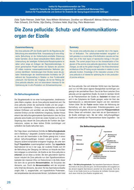 Schwerpunkt: âReproduktionsmedizinâ - TierÃ¤rztliche Hochschule ...