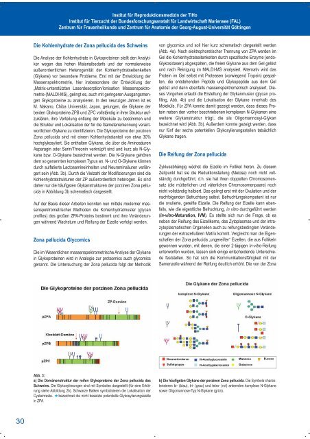 Schwerpunkt: âReproduktionsmedizinâ - TierÃ¤rztliche Hochschule ...