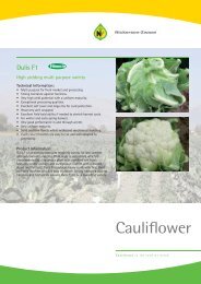 Product leaflet cauliflower Dulis F1 - Nickerson-Zwaan