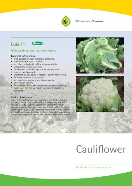 Product Leaflet Cauliflower Dulis F1 Nickerson Zwaan product-leaflet-cauliflower-dulis-f1-nickerson-zwaan