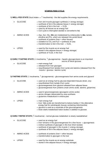 STARVE-FEED CYCLE 1) WELL-FED STATE (food intake ...