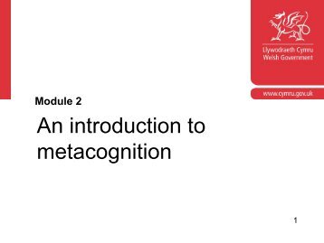 An Introduction to Metacognition - Learning Wales - Welsh ...