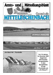 Amts- und Mitteilungsblatt Gemeinde Mitteleschenbach