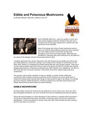 edible and poisonous mushrooms.pdf