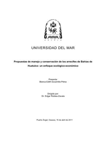 tesis final - Universidad del Mar