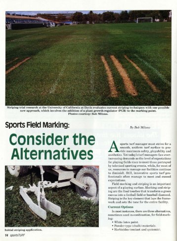 Sports Field Marking: Consider the Alternatives