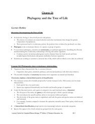 Chapter 26 Phylogeny and the Tree of Life Lecture Outline