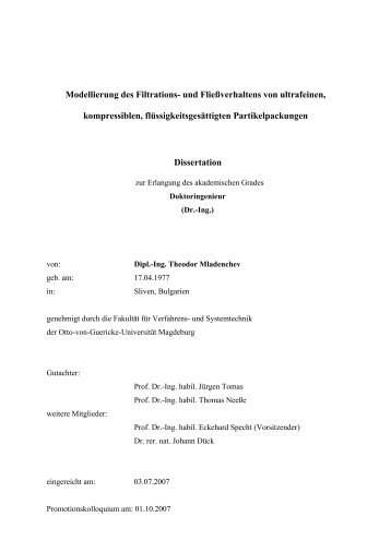 Modellierung des Filtrations - Lehrstuhl Mechanische ...