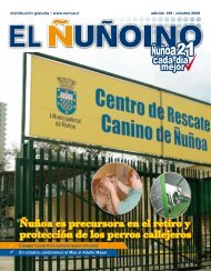 10. 2009 - Municipalidad de Ñuñoa