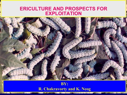Ericulture and Prospects for Exploitation-Presentation at Workshop ...