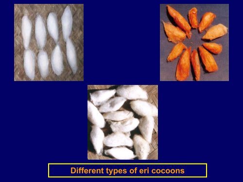 Ericulture and Prospects for Exploitation-Presentation at Workshop ...