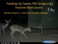 Feeding-Up Fawns - Caesar Kleberg Wildlife Research Institute ...