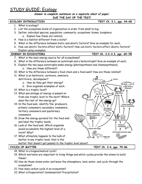 study-guide-ecology-class-with-mrs-robson-yay-science