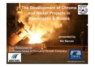 The Development of Chrome and Nickel Projects in ... - Mintek