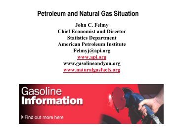 Petroleum and Natural Gas Situation
