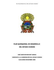 jose j betancourt - Consejo Nacional Electoral