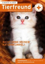 NICHT OHNE MEINEN KATZENKUMPEL! - Wiener Tierschutzverein