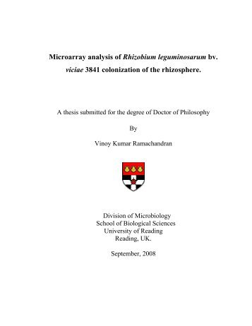 Microarray analysis of Rhizobium leguminosarum bv. viciae 3841 ...