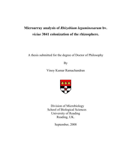 Microarray analysis of Rhizobium leguminosarum bv. viciae 3841