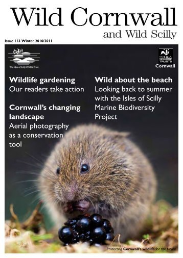 Issue 113 Winter 2010/2011 - Cornwall Wildlife Trust