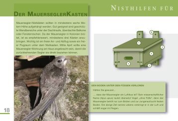 Mauersegler-Nistkasten - Nabu-ellwangen.de