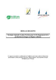 Biogas Regions project