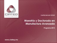 MaestrÃ­a y Doctorado en Manufactura Avanzada - DirecciÃ³n de ...