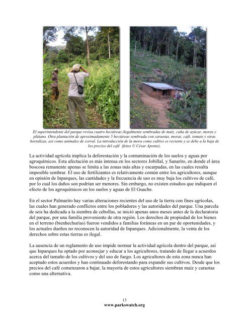 Estado de conservaciÃ³n del Parque Nacional El Guache - Eco-Index