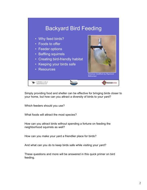 Backyard Bird Feeding - Birds - Cornell Lab of Ornithology