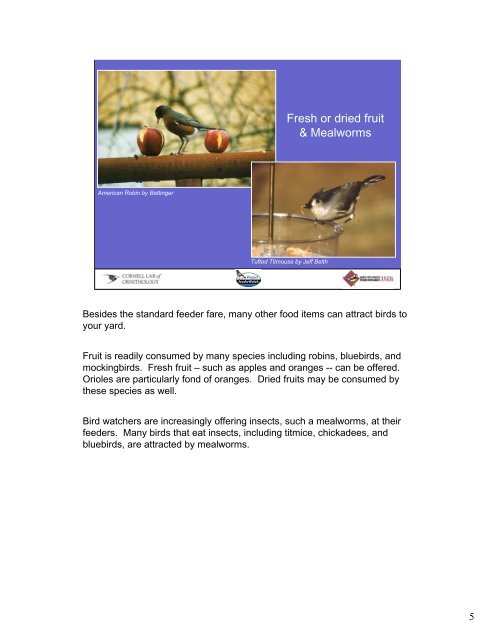 Backyard Bird Feeding - Birds - Cornell Lab of Ornithology
