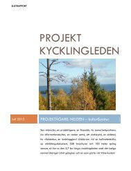 Projekt Kycklingleden - Nejden