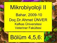 4,5,6, Corynebact.-Dermatophylus infeksiyonlarÄ± - Kafkas Ãniversitesi