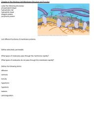 Chapter 5-The Working Cell-Membrane Structure and Function ...