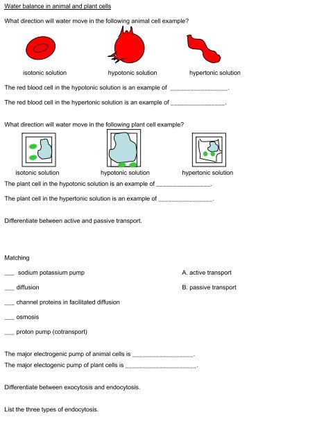 Chapter 5-The Working Cell-Membrane Structure and Function ...