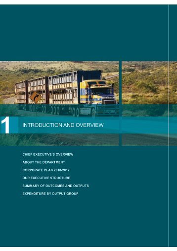 INTRODUCTION AND OVERVIEW - Department of Transport
