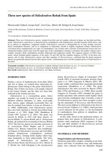 Three new species of Oidiodendron Robak from Spain - CBS