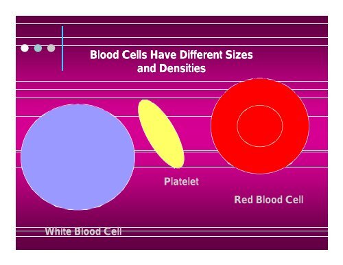 Platelet