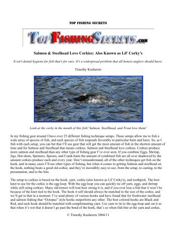 Salmon & Steelhead Love Corkies - Top Fishing Secrets